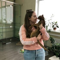 Фото кото «Маркиз» — Гостиница для кошек Маркиз