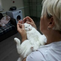 Котофото 30