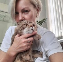 Котофото 44